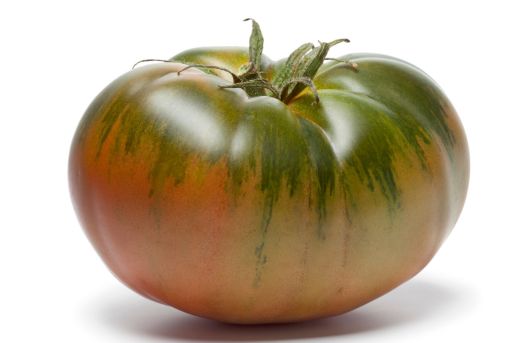 tomate -raf